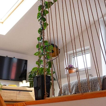 Loft Zulawy, Apartament Na Wylacznosc Nowy Dwór Gdański Bagian luar foto